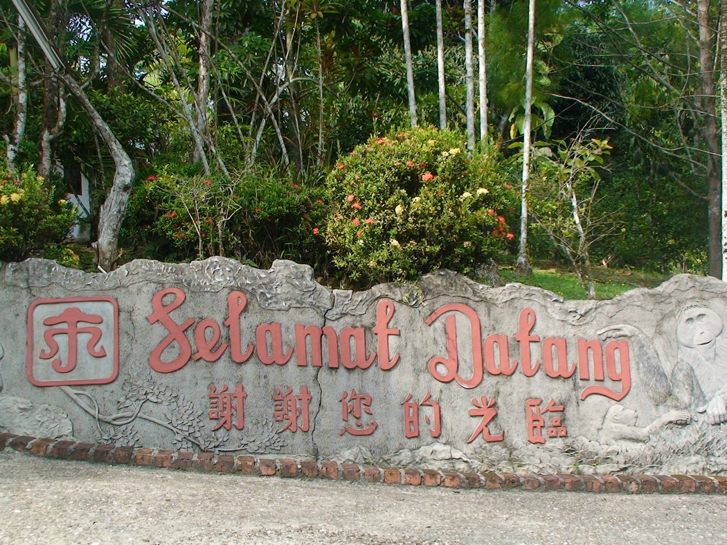 Borneo2 (61).JPG